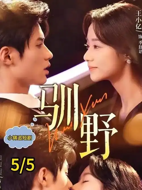 潮汐档案 红桃影视刑侦剧集海报